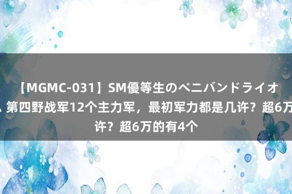 【MGMC-031】SM優等生のペニバンドライオーガズム 第四野战军12个主力军，最初军力都是几许？超6万的有4个