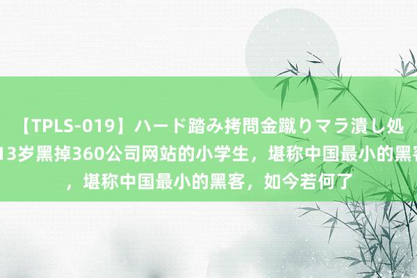 【TPLS-019】ハード踏み拷問金蹴りマラ潰し処刑 JUN女王様 13岁黑掉360公司网站的小学生，堪称中国最小的黑客，如今若何了