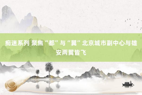 痴迷系列 聚焦“都”与“翼”北京城市副中心与雄安两翼皆飞