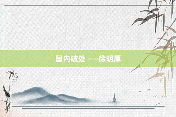 国内破处 ——徐明厚