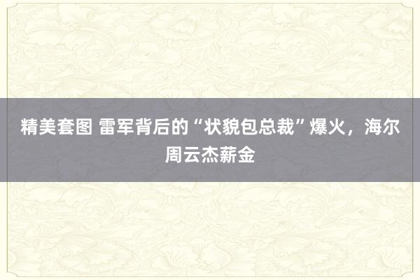 精美套图 雷军背后的“状貌包总裁”爆火，海尔周云杰薪金