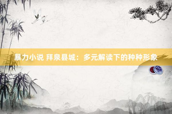 暴力小说 拜泉县城：多元解读下的种种形象