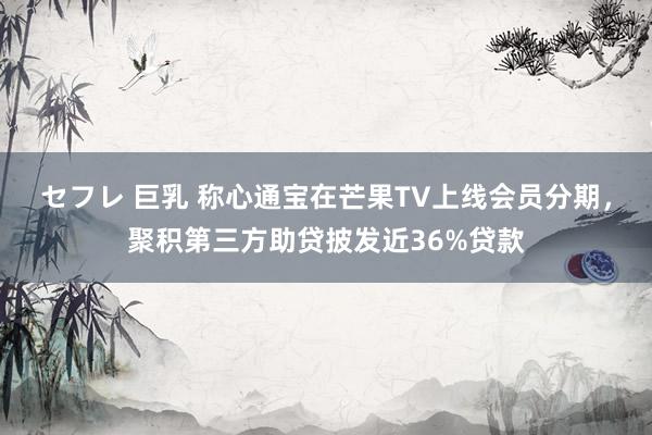 セフレ 巨乳 称心通宝在芒果TV上线会员分期，聚积第三方助贷披发近36%贷款