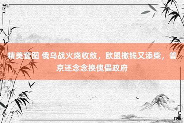 精美套图 俄乌战火烧收敛，欧盟撒钱又添柴，普京还念念换傀儡政府