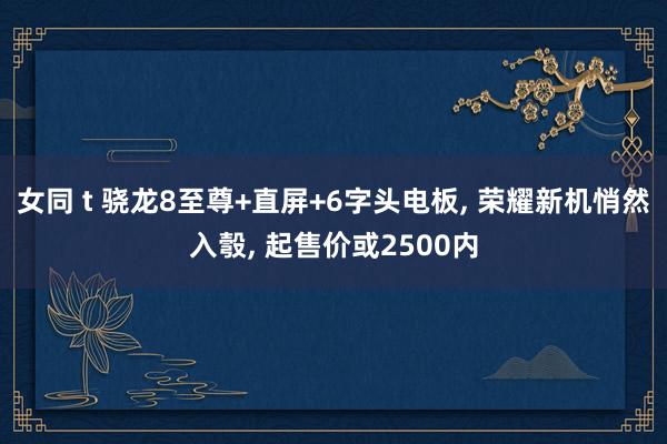 女同 t 骁龙8至尊+直屏+6字头电板， 荣耀新机悄然入彀， 起售价或2500内