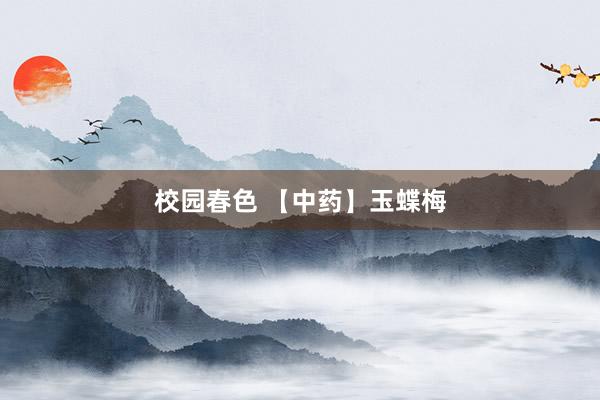 校园春色 【中药】玉蝶梅