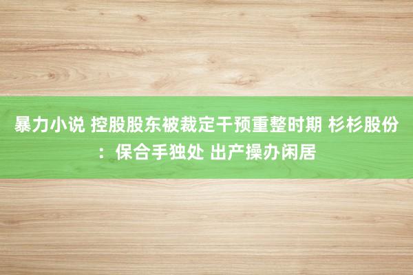 暴力小说 控股股东被裁定干预重整时期 杉杉股份：保合手独处 出产操办闲居